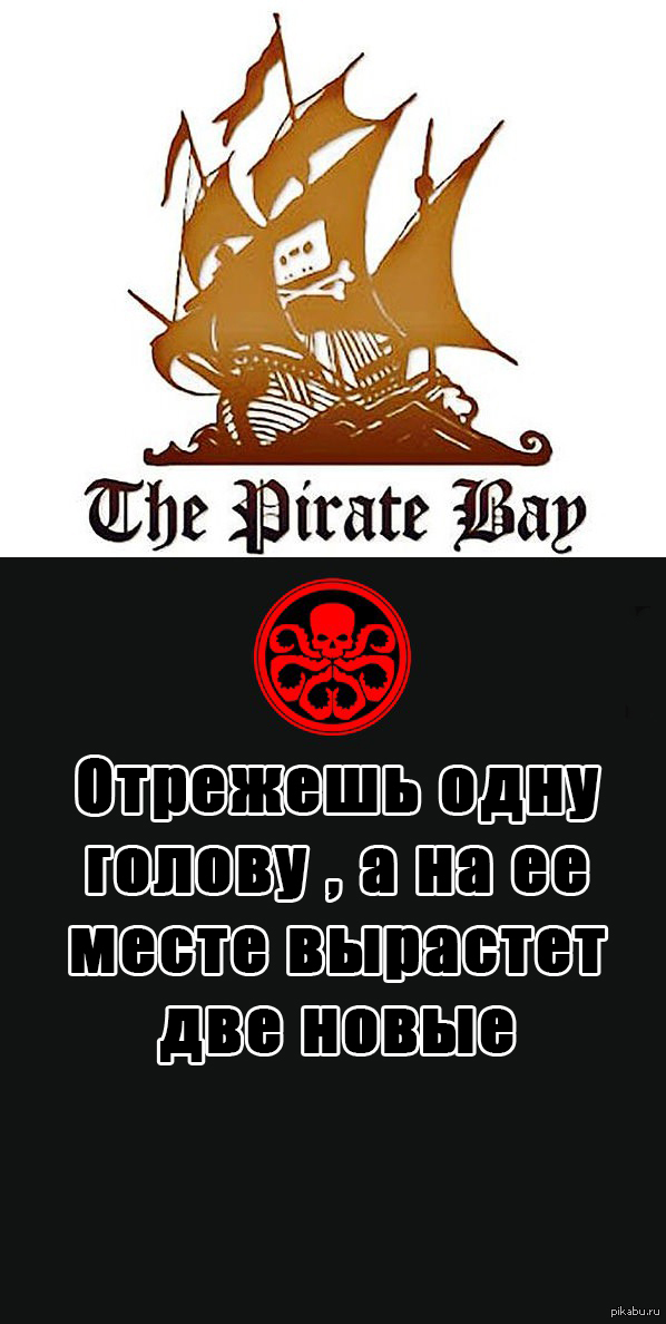 Kraken 25at