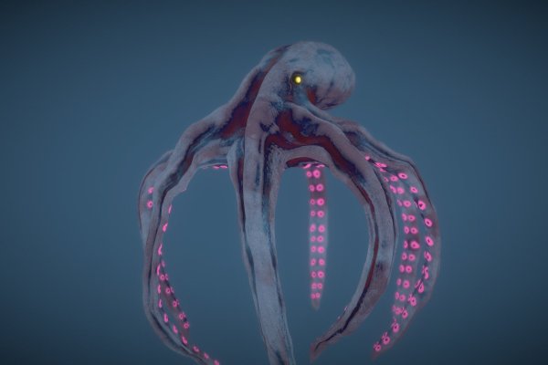 Kraken forum