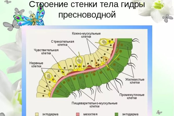 Регистрация на кракен