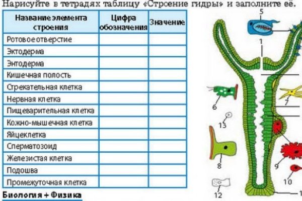 Ссылка на кракен шоп