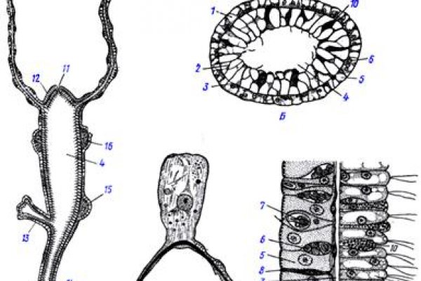 Официальный сайт kraken ссылки зеркала