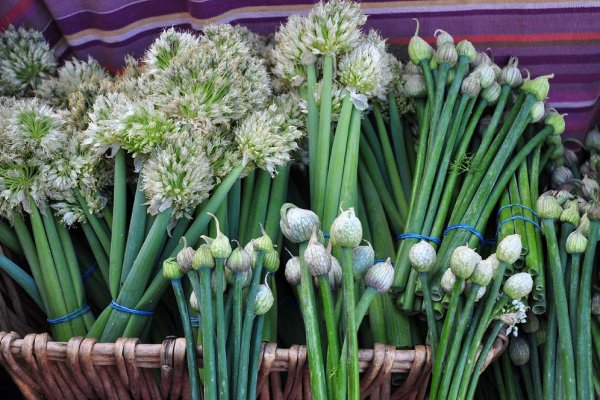 2krn cc официальный